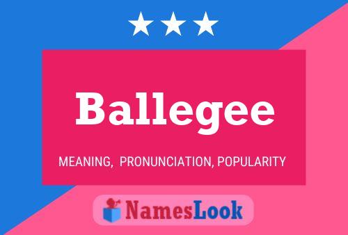 Постер имени Ballegee