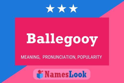 Постер имени Ballegooy