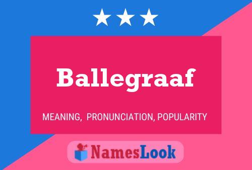 Постер имени Ballegraaf