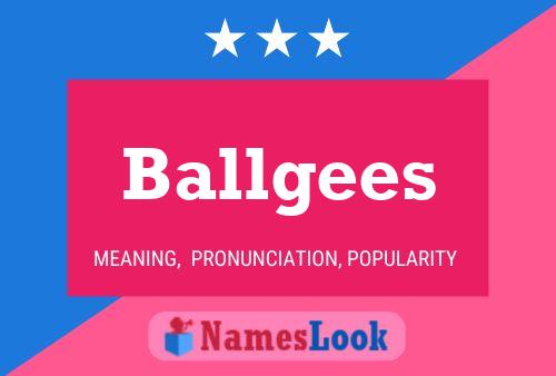 Постер имени Ballgees