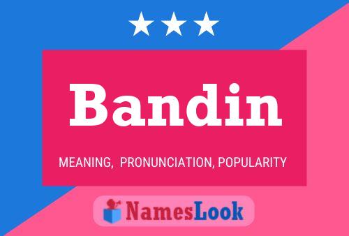 Постер имени Bandin