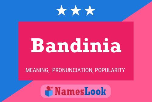 Постер имени Bandinia