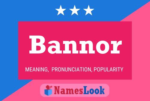 Постер имени Bannor