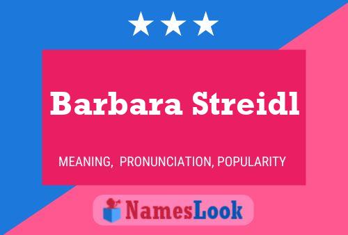 Постер имени Barbara Streidl