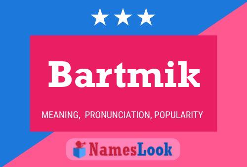 Постер имени Bartmik