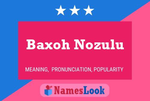 Постер имени Baxoh Nozulu