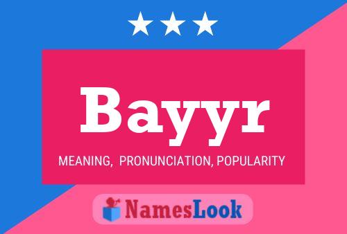 Постер имени Bayyr