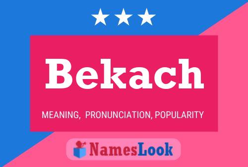 Постер имени Bekach