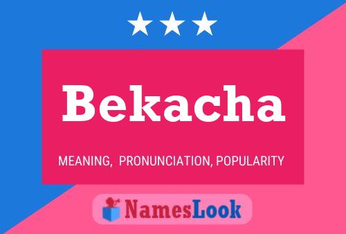 Постер имени Bekacha