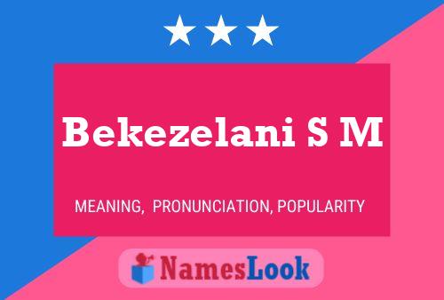 Постер имени Bekezelani S M