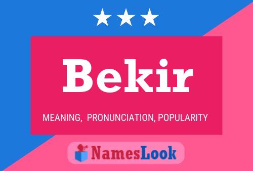 Постер имени Bekir