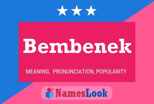 Постер имени Bembenek