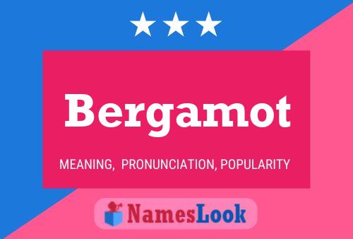 Постер имени Bergamot