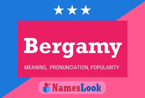 Постер имени Bergamy