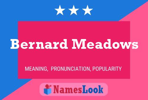 Постер имени Bernard Meadows