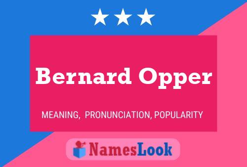 Постер имени Bernard Opper