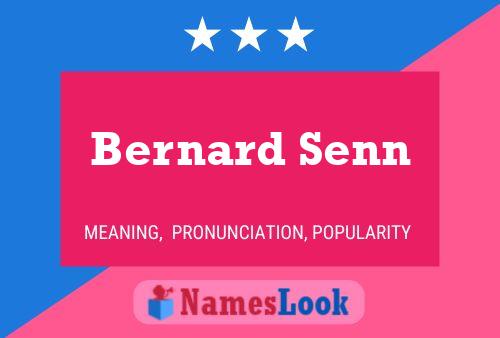 Постер имени Bernard Senn