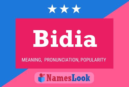 Постер имени Bidia