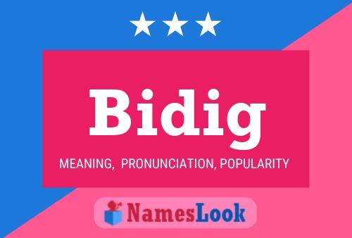 Постер имени Bidig