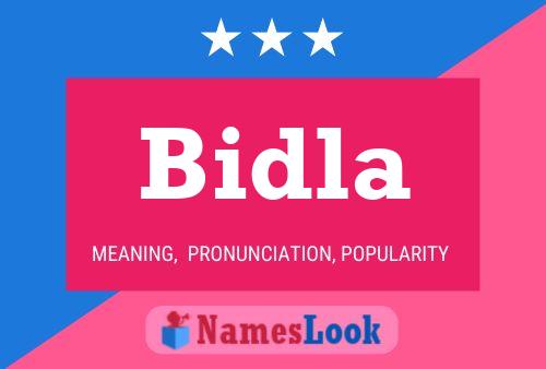 Постер имени Bidla