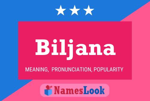 Постер имени Biljana