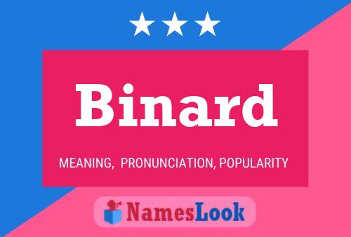 Постер имени Binard