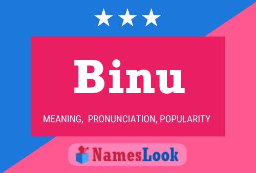 Постер имени Binu