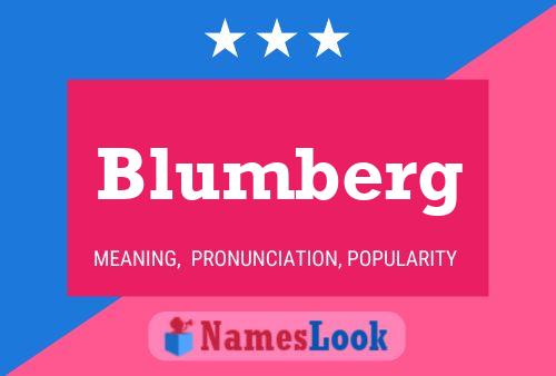 Постер имени Blumberg