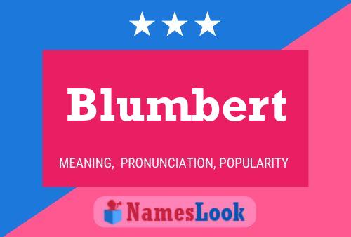 Постер имени Blumbert