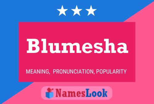 Постер имени Blumesha