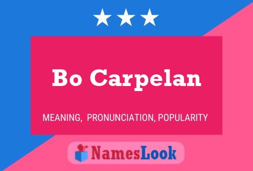 Постер имени Bo Carpelan