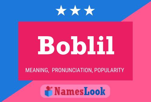 Постер имени Boblil