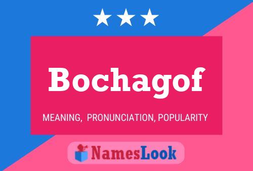 Постер имени Bochagof