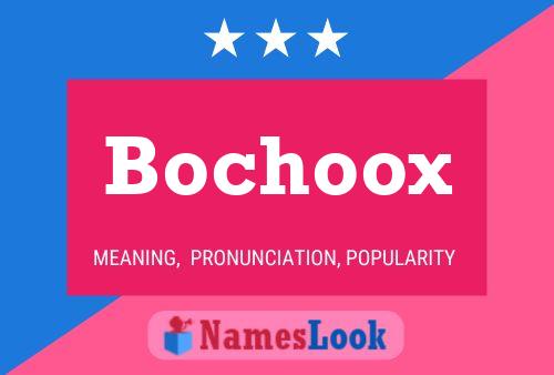 Постер имени Bochoox