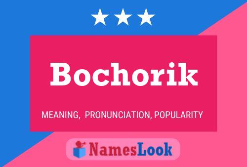 Постер имени Bochorik