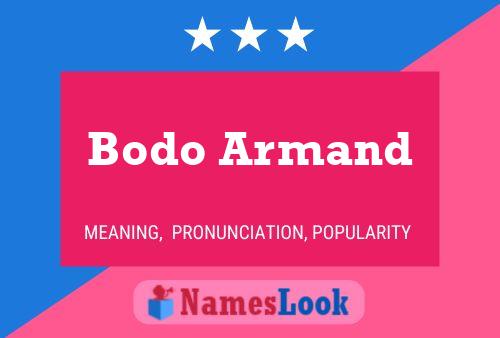 Постер имени Bodo Armand