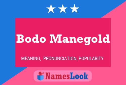 Постер имени Bodo Manegold