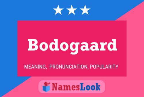 Постер имени Bodogaard