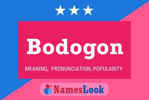 Постер имени Bodogon