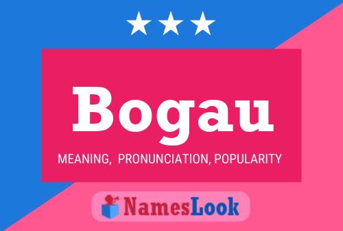 Постер имени Bogau