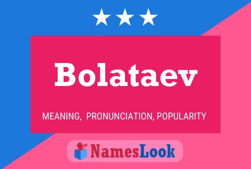 Постер имени Bolataev