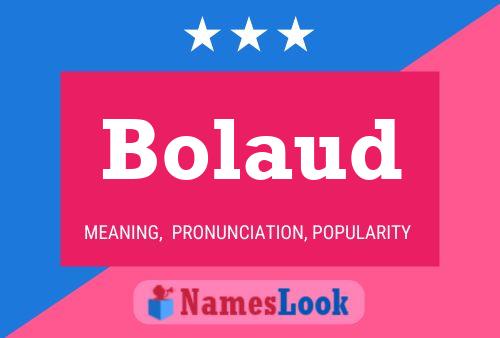 Постер имени Bolaud