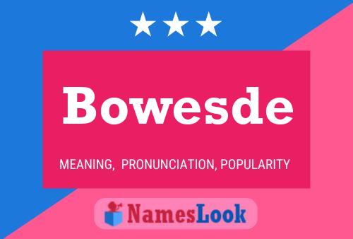 Постер имени Bowesde