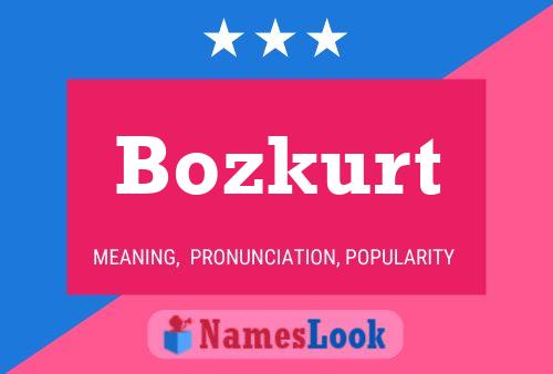 Постер имени Bozkurt