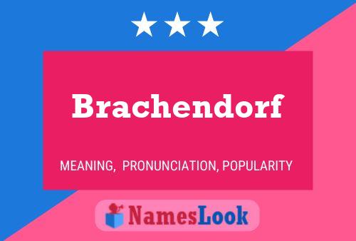 Постер имени Brachendorf