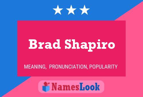 Постер имени Brad Shapiro