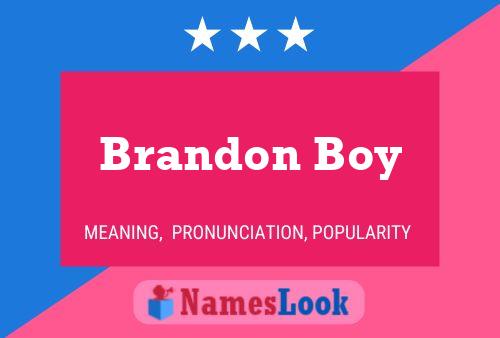 Постер имени Brandon Boy