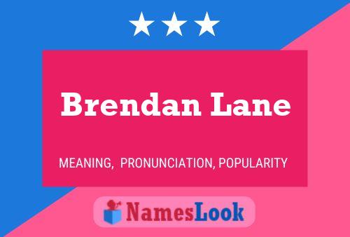 Постер имени Brendan Lane