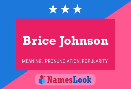 Постер имени Brice Johnson