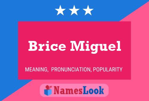 Постер имени Brice Miguel